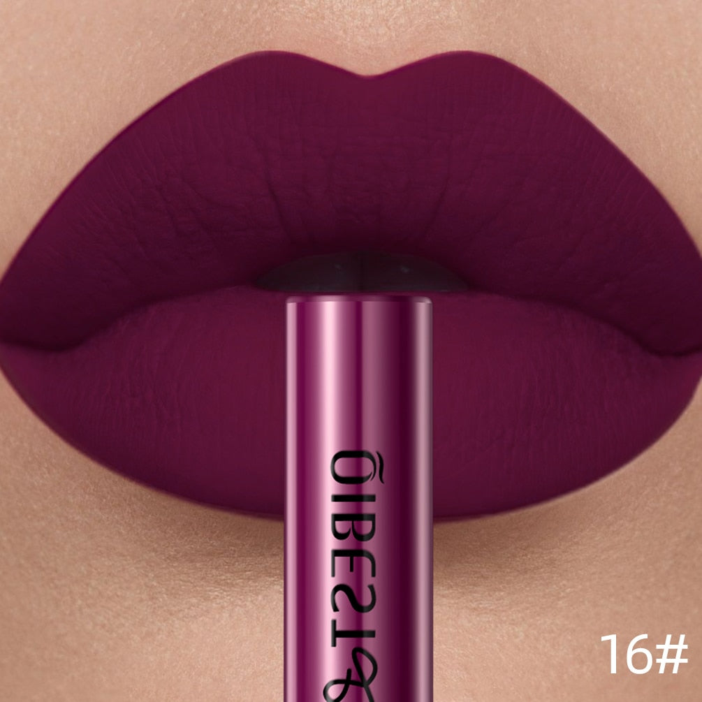 Long Lasting Velvet Matte Lipgloss