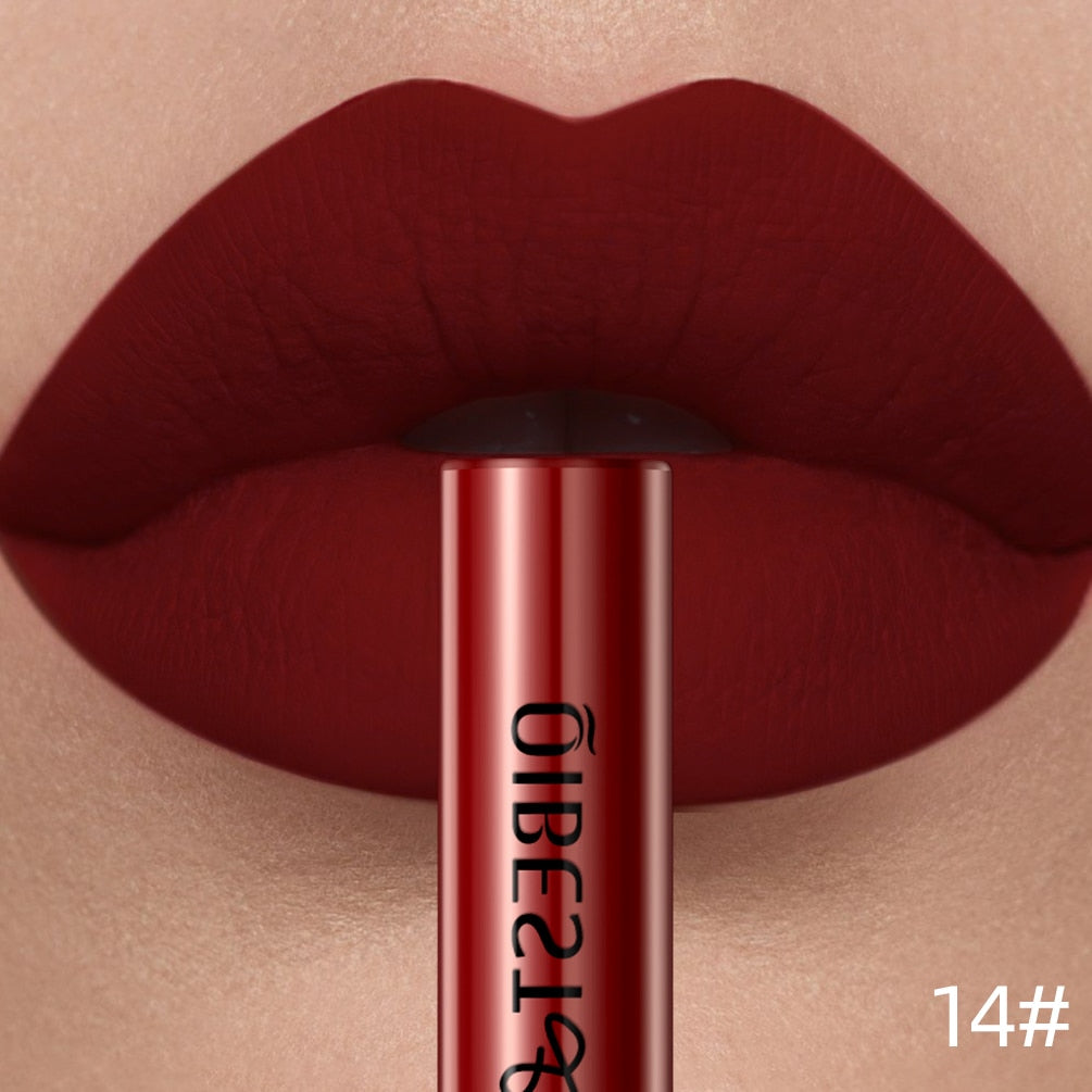 Long Lasting Velvet Matte Lipgloss