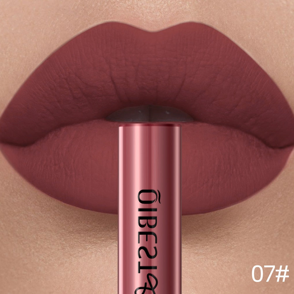 Long Lasting Velvet Matte Lipgloss