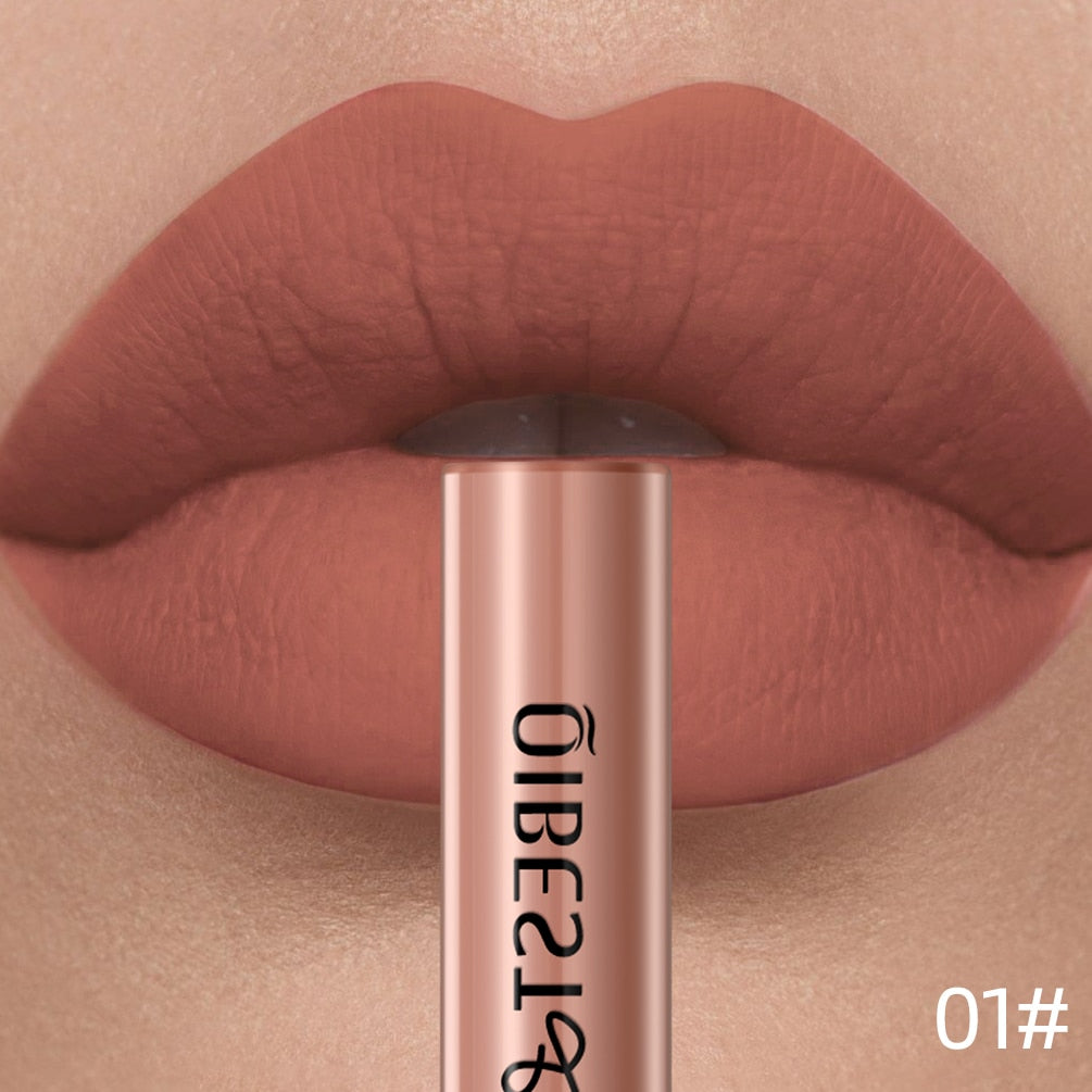 Long Lasting Velvet Matte Lipgloss